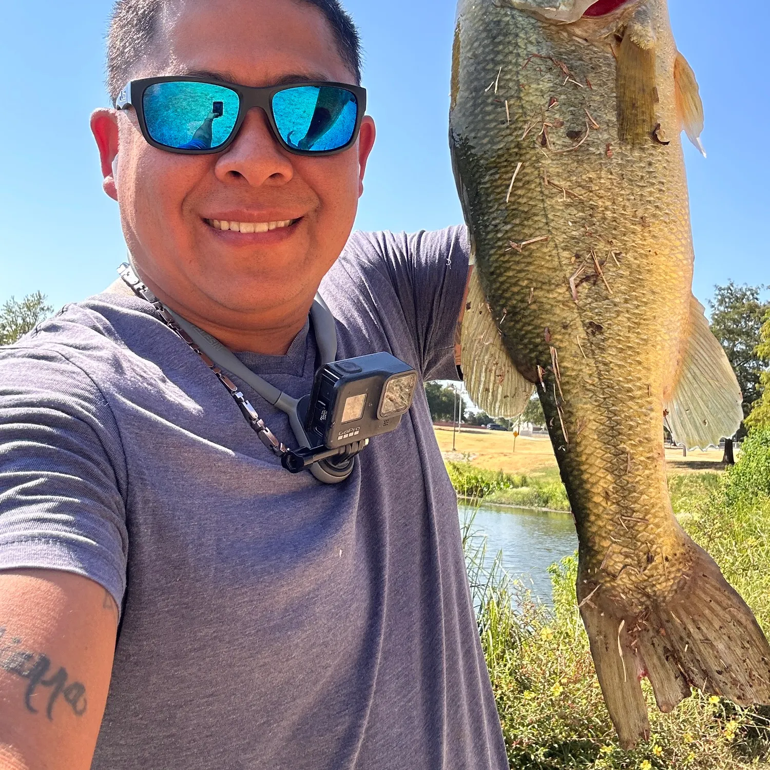 Largemouth bass caught on Fishbrain