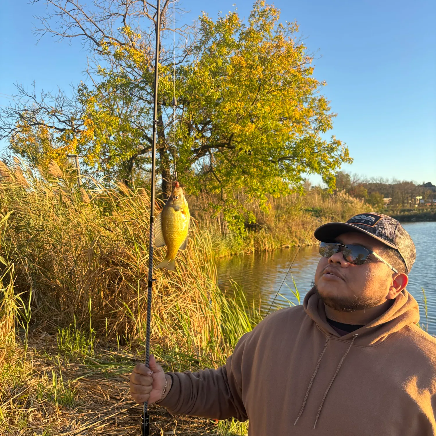 Bluegill caught on Fishbrain