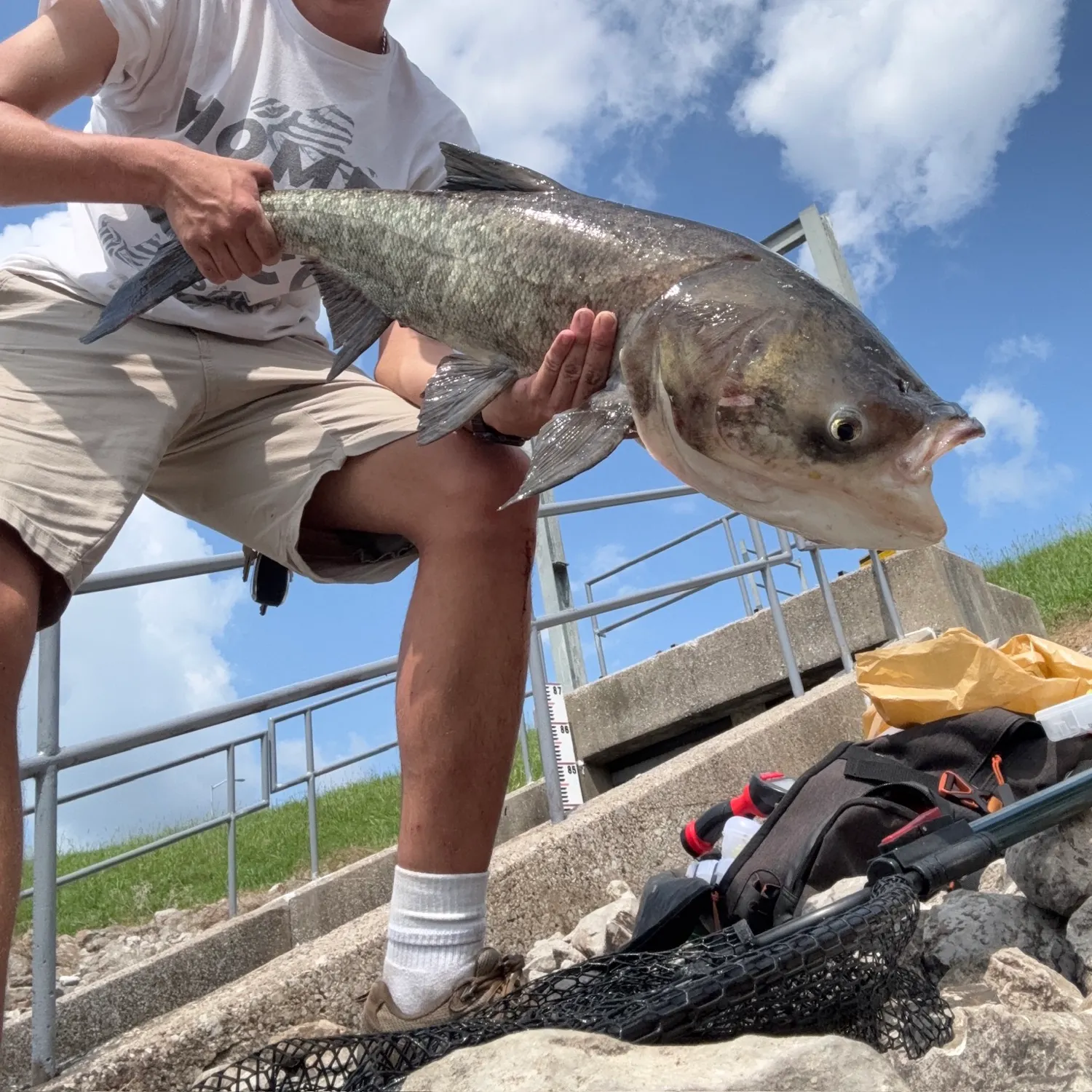 The most recent Bighead carp catches on Fishbrain
