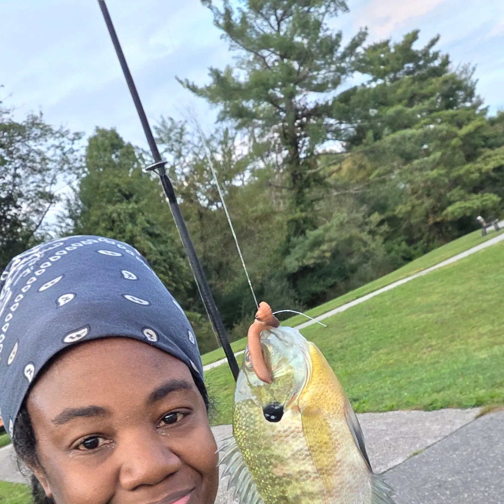 Bluegill caught on Fishbrain
