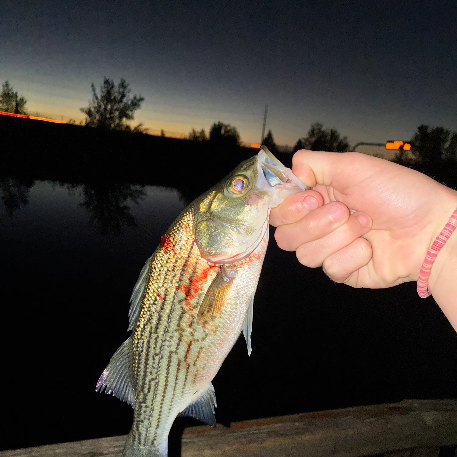 Wiper caught on Fishbrain