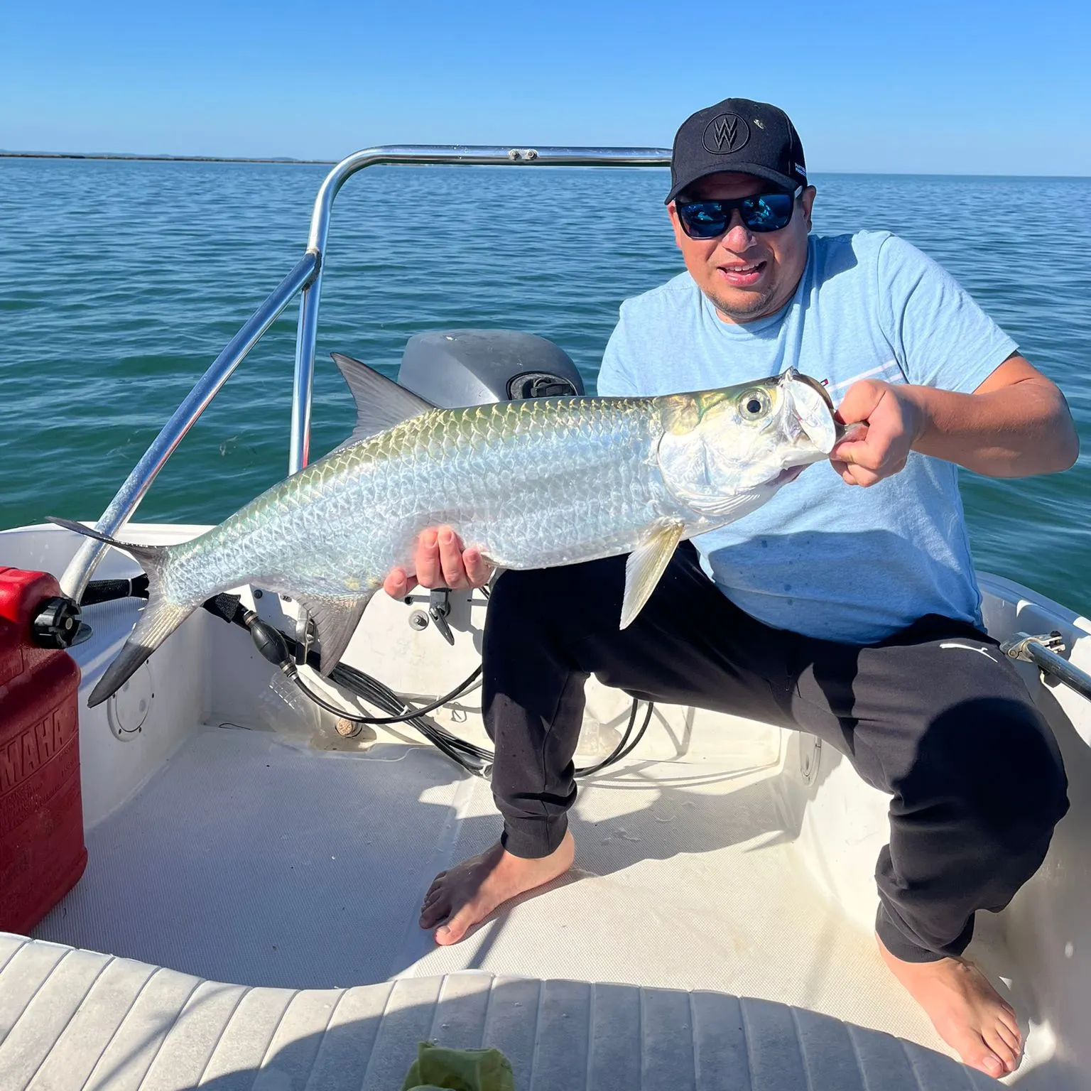 The most recent Tarpon catches on Fishbrain