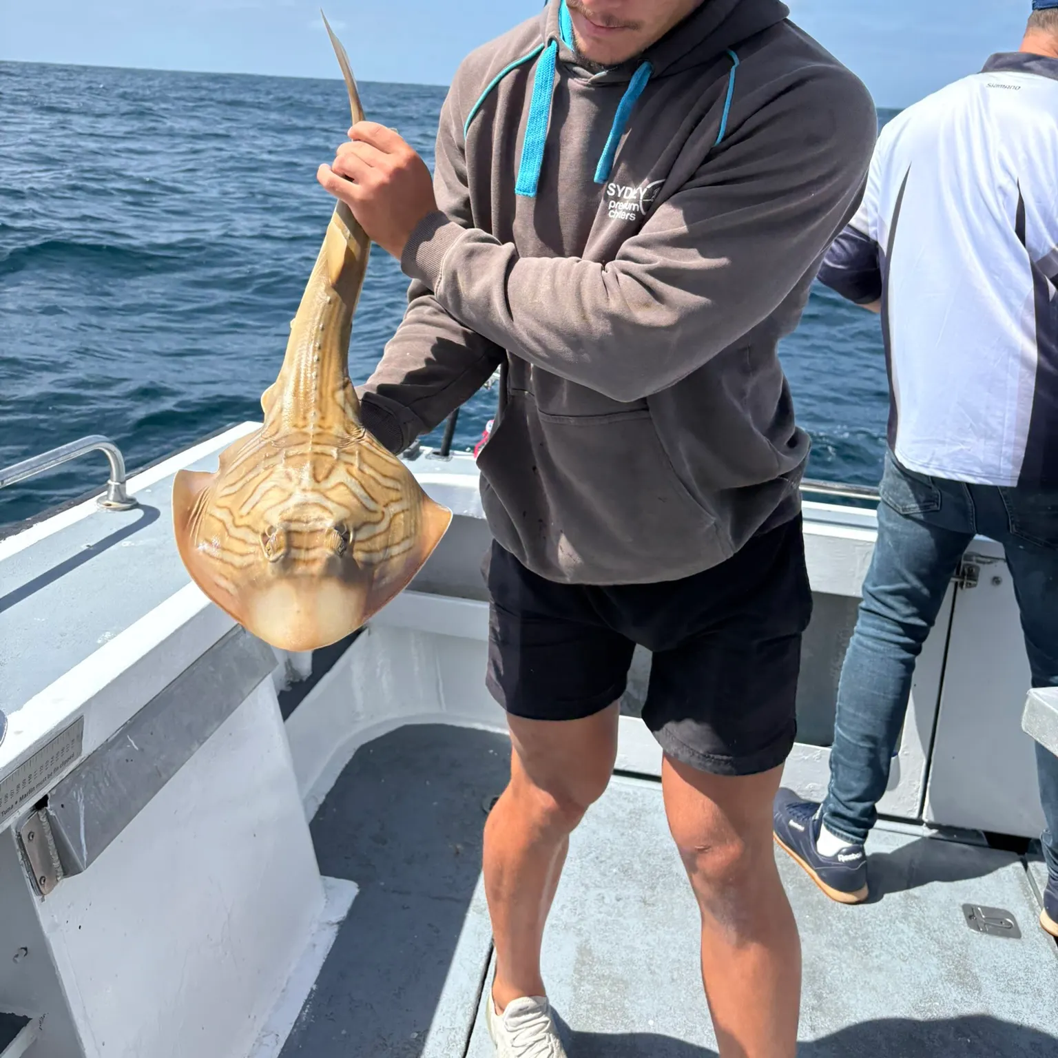 The most recent Southern fiddler catches on Fishbrain