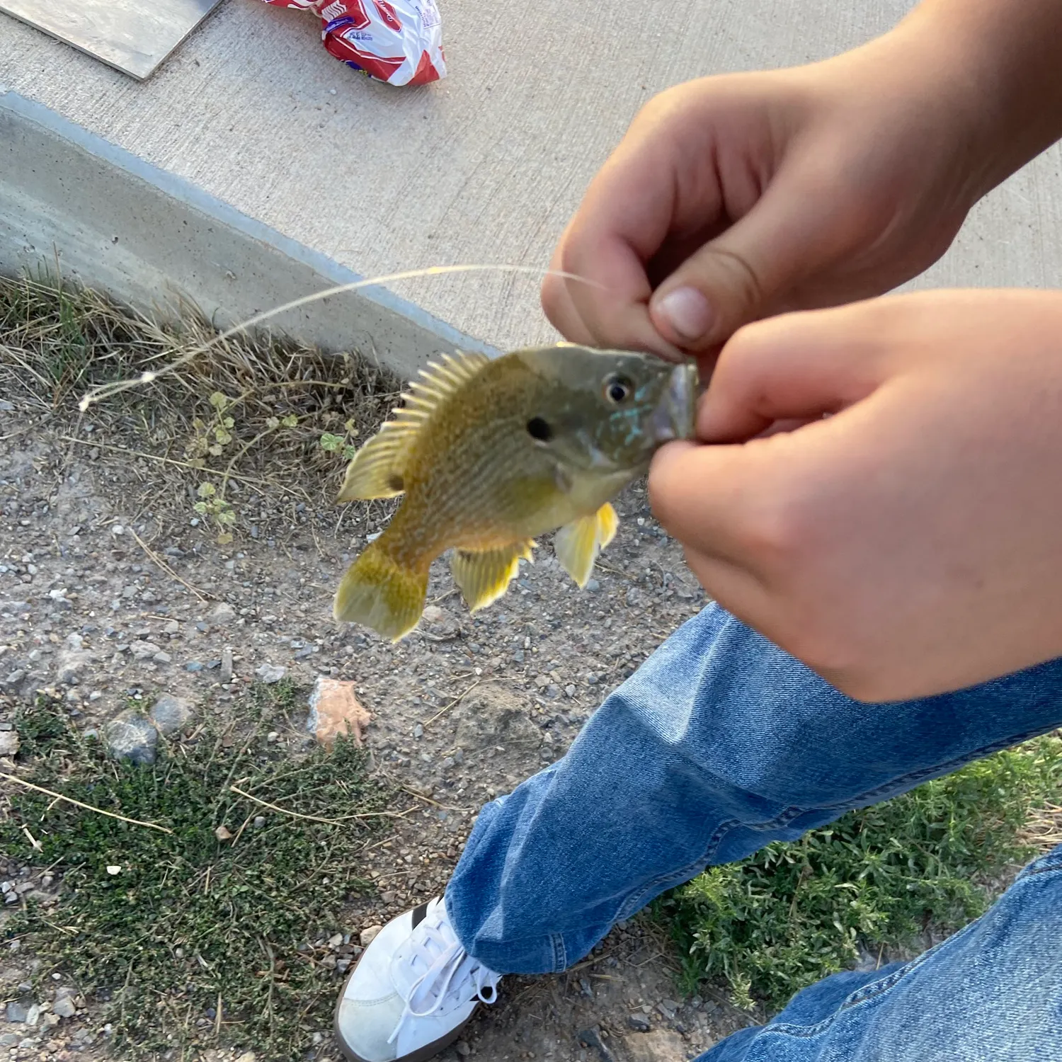 catch