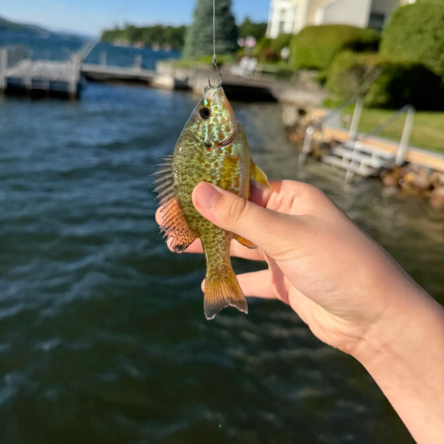 catch
