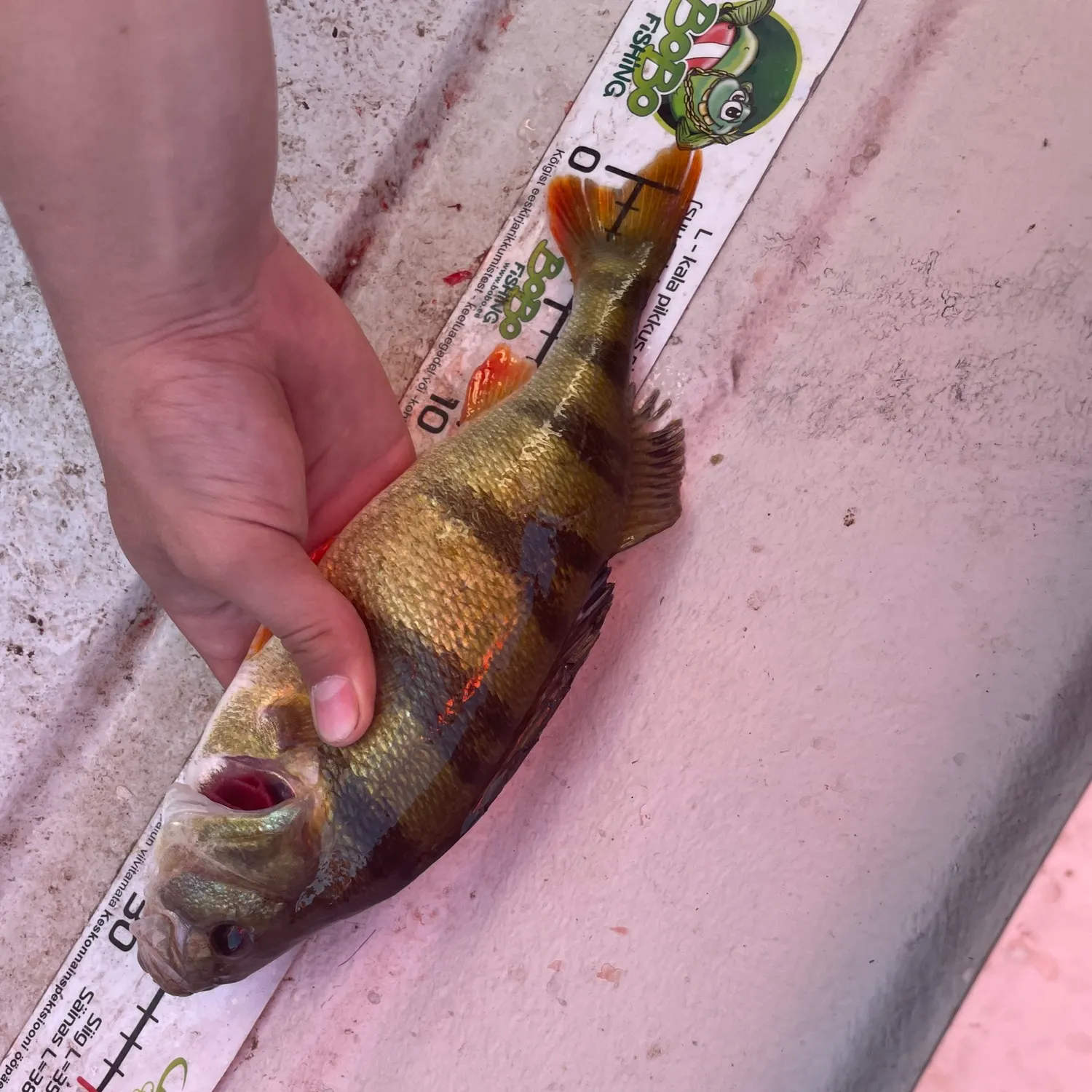 catch
