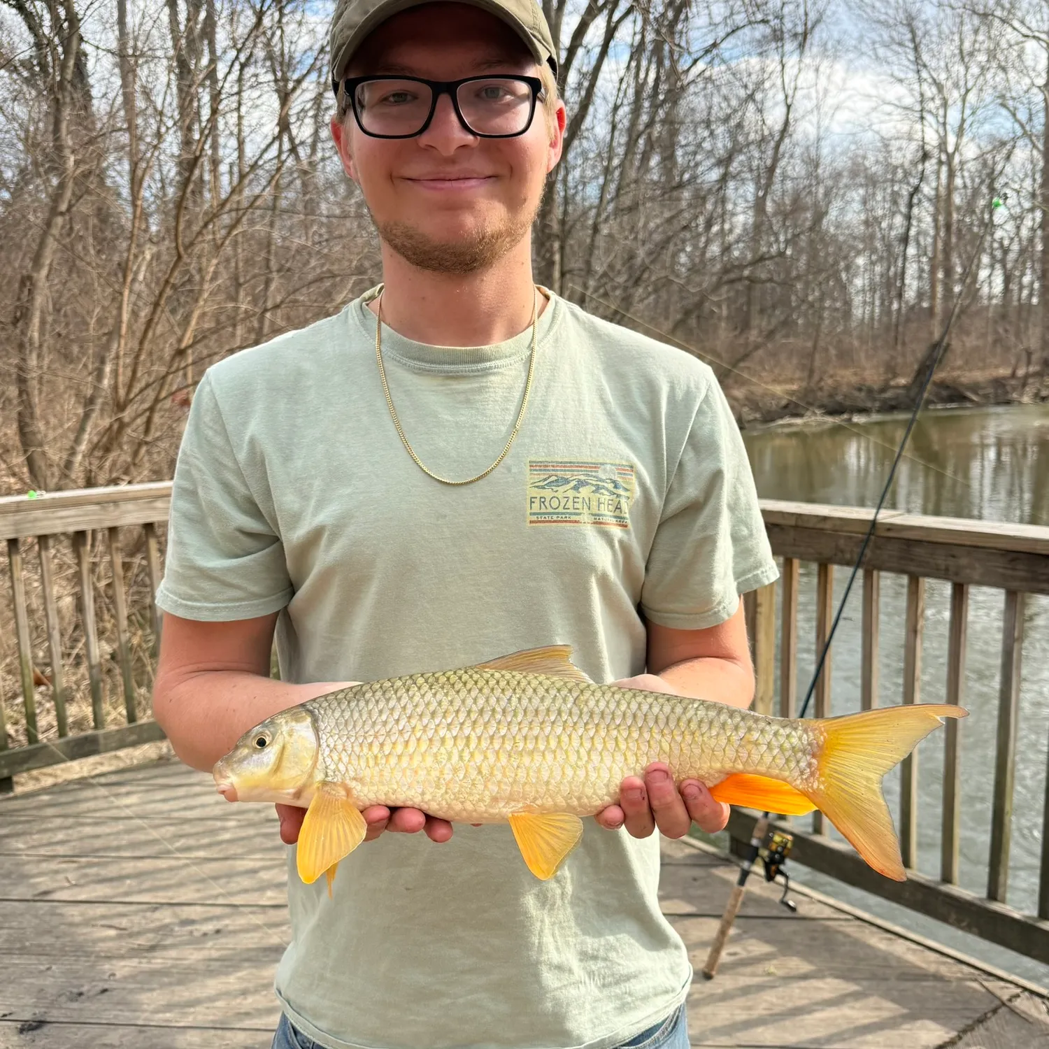 The most recent Shorthead redhorse catches on Fishbrain