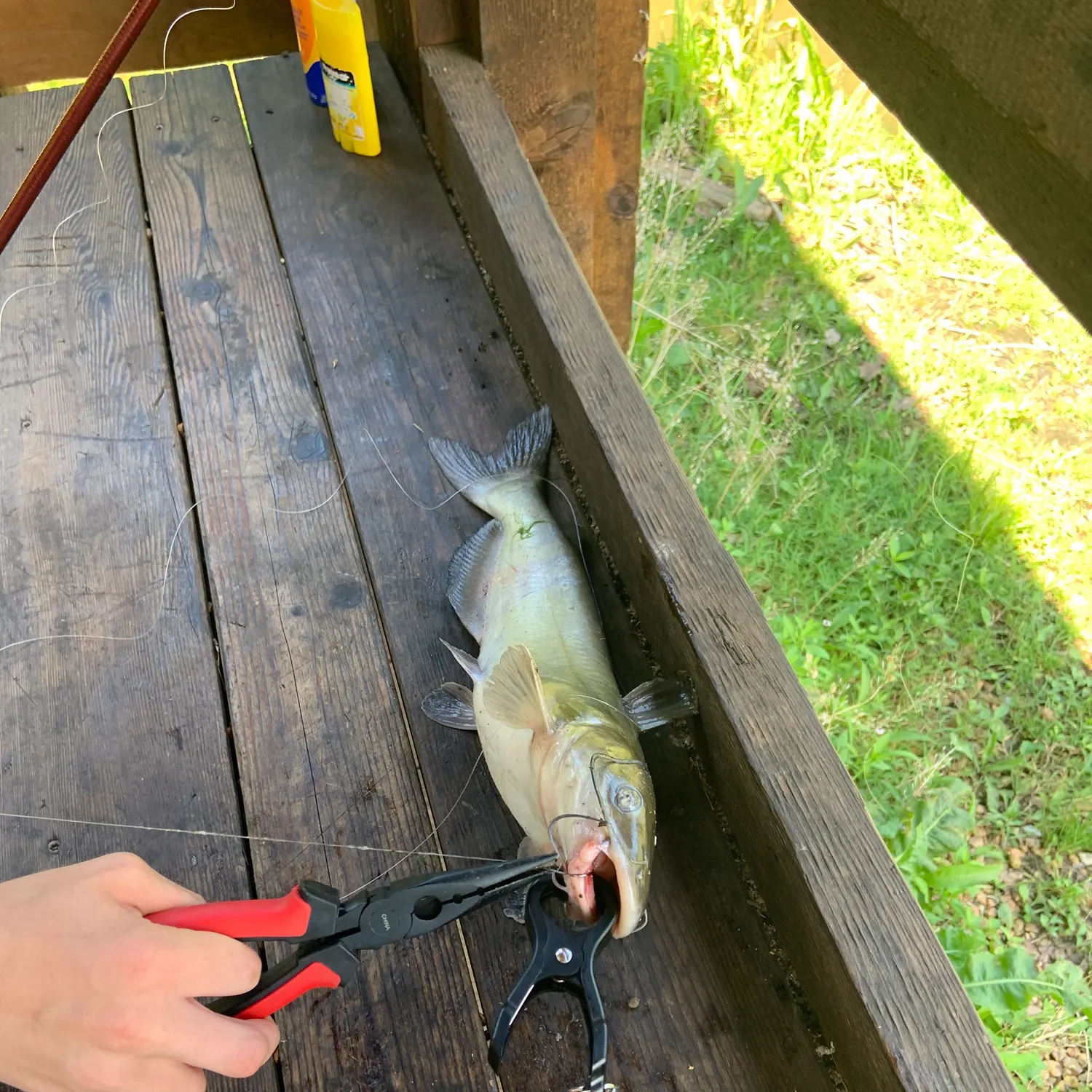 catch