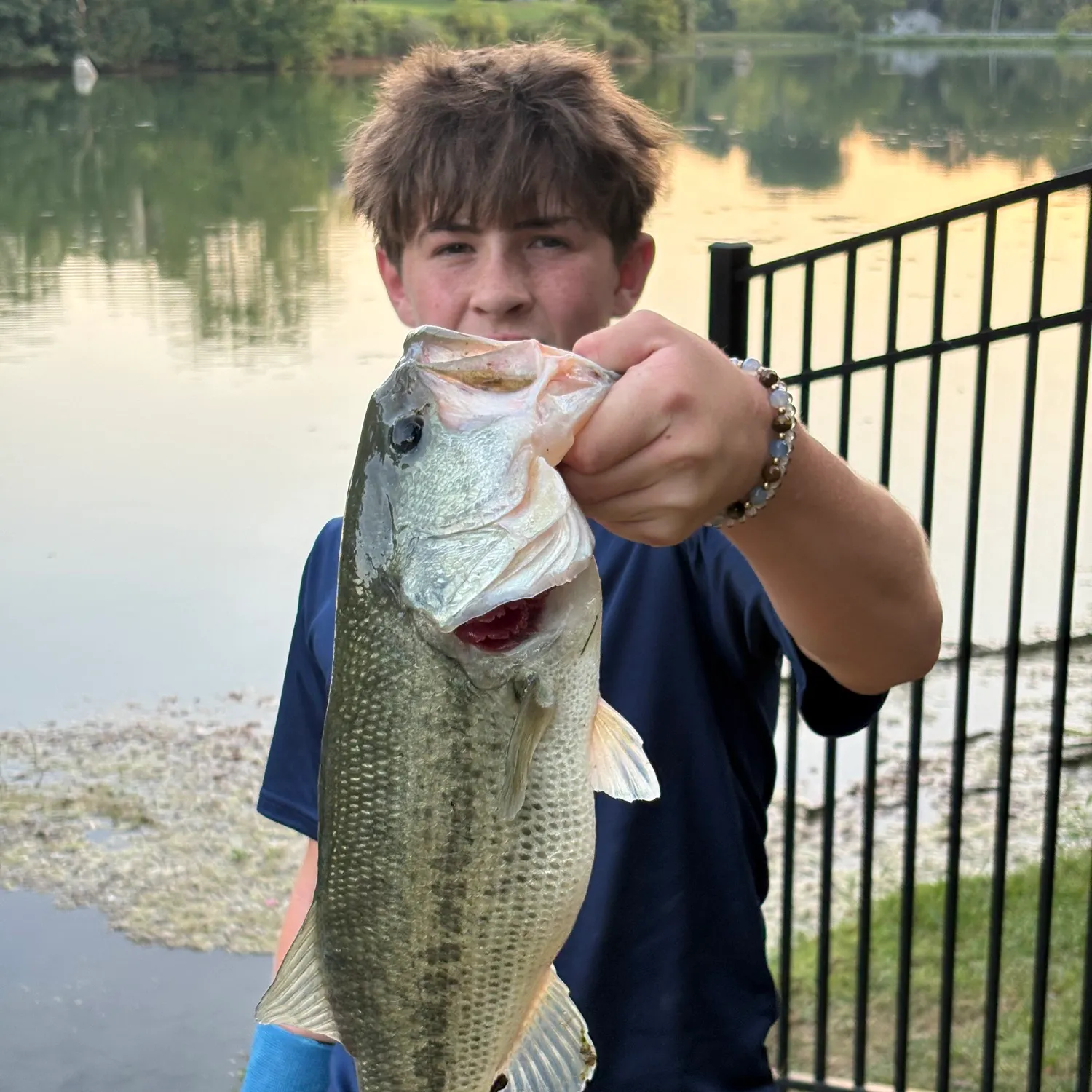 Fish caught on Fishbrain