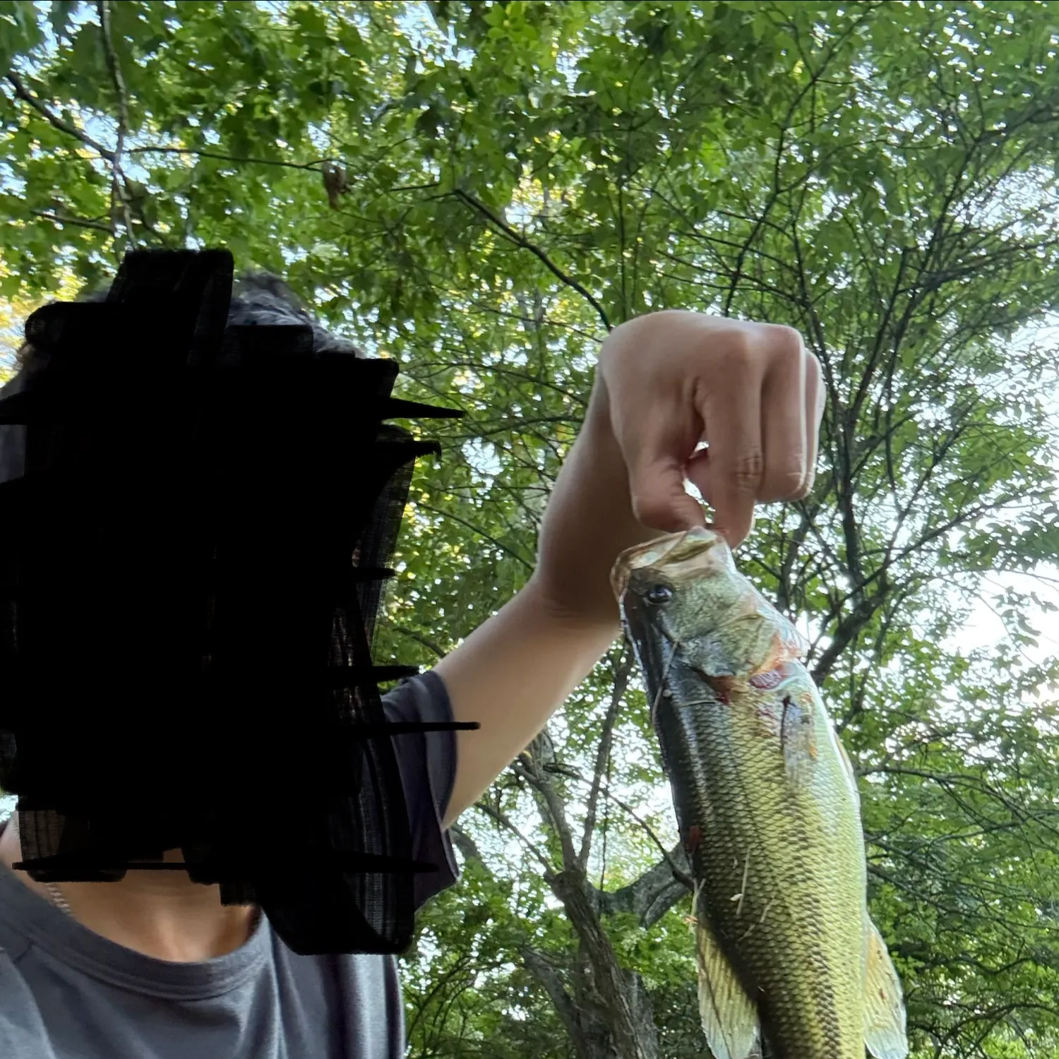 Fish caught on Fishbrain