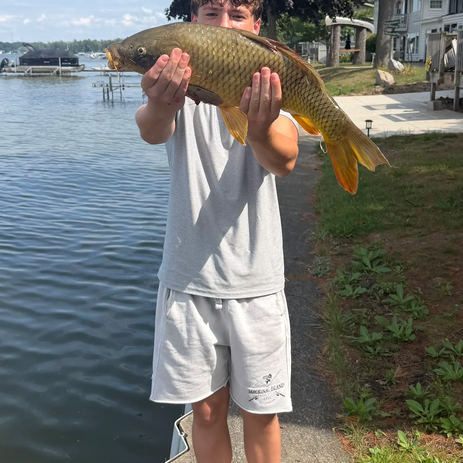 Common carp caught on Fishbrain