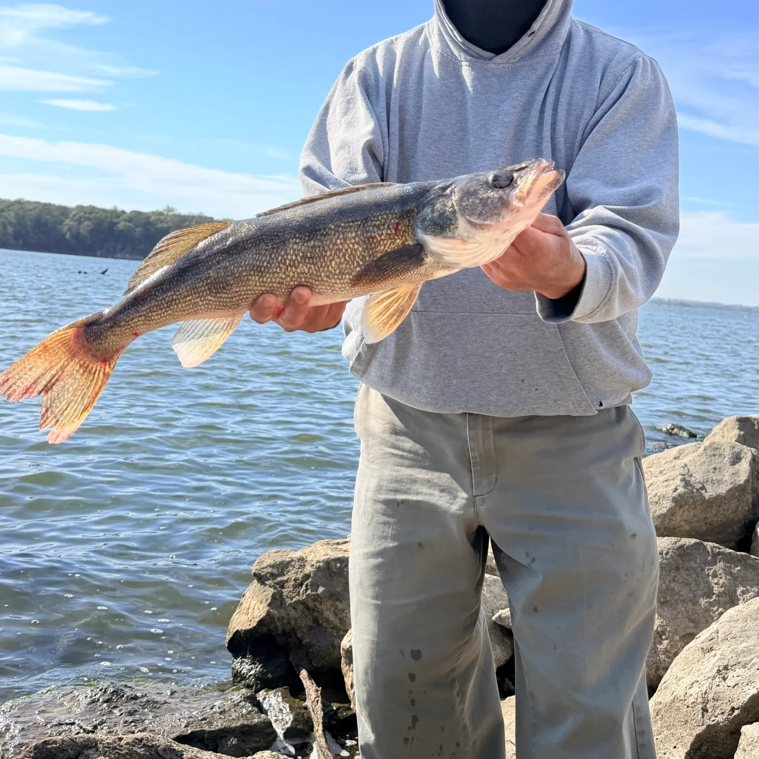 Walleye caught on Fishbrain