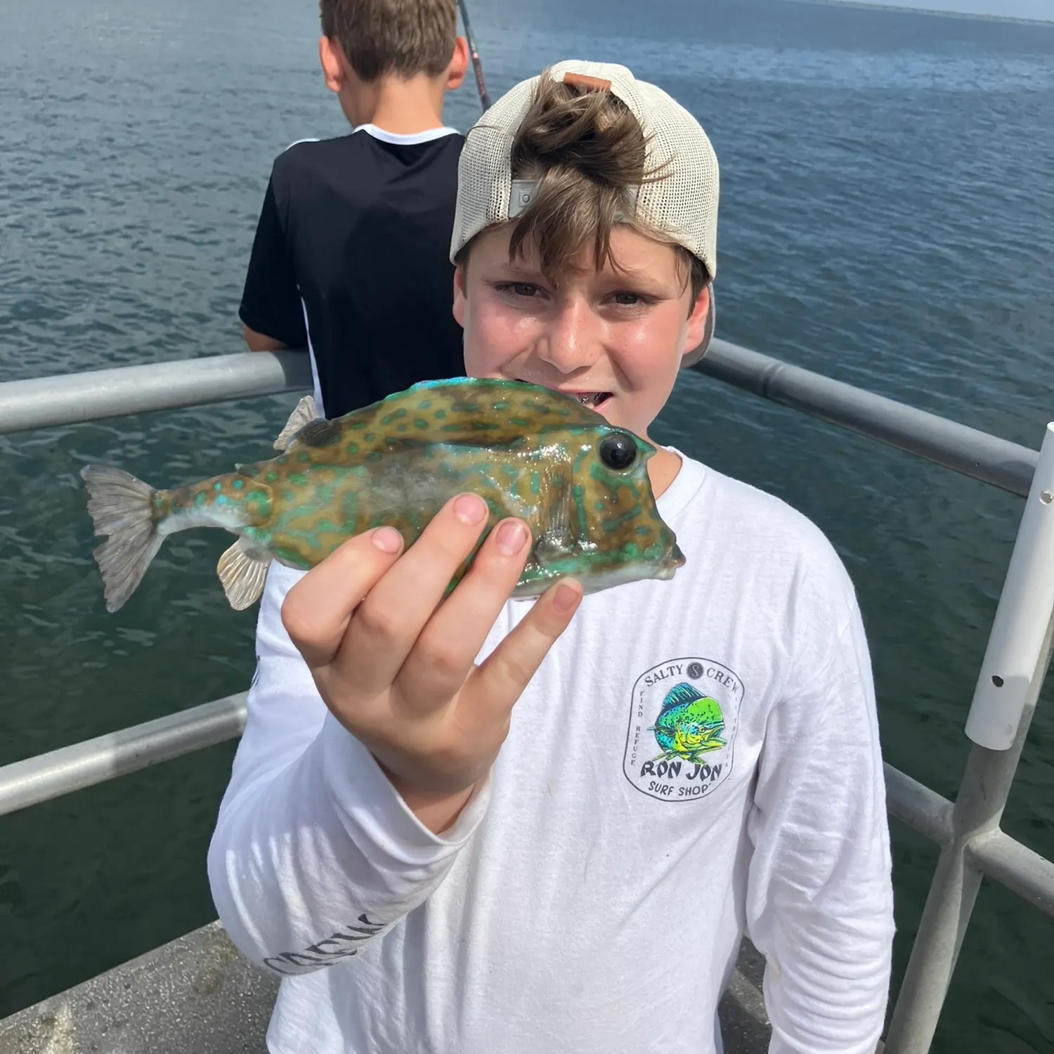 The most recent Honeycomb cowfish catches on Fishbrain