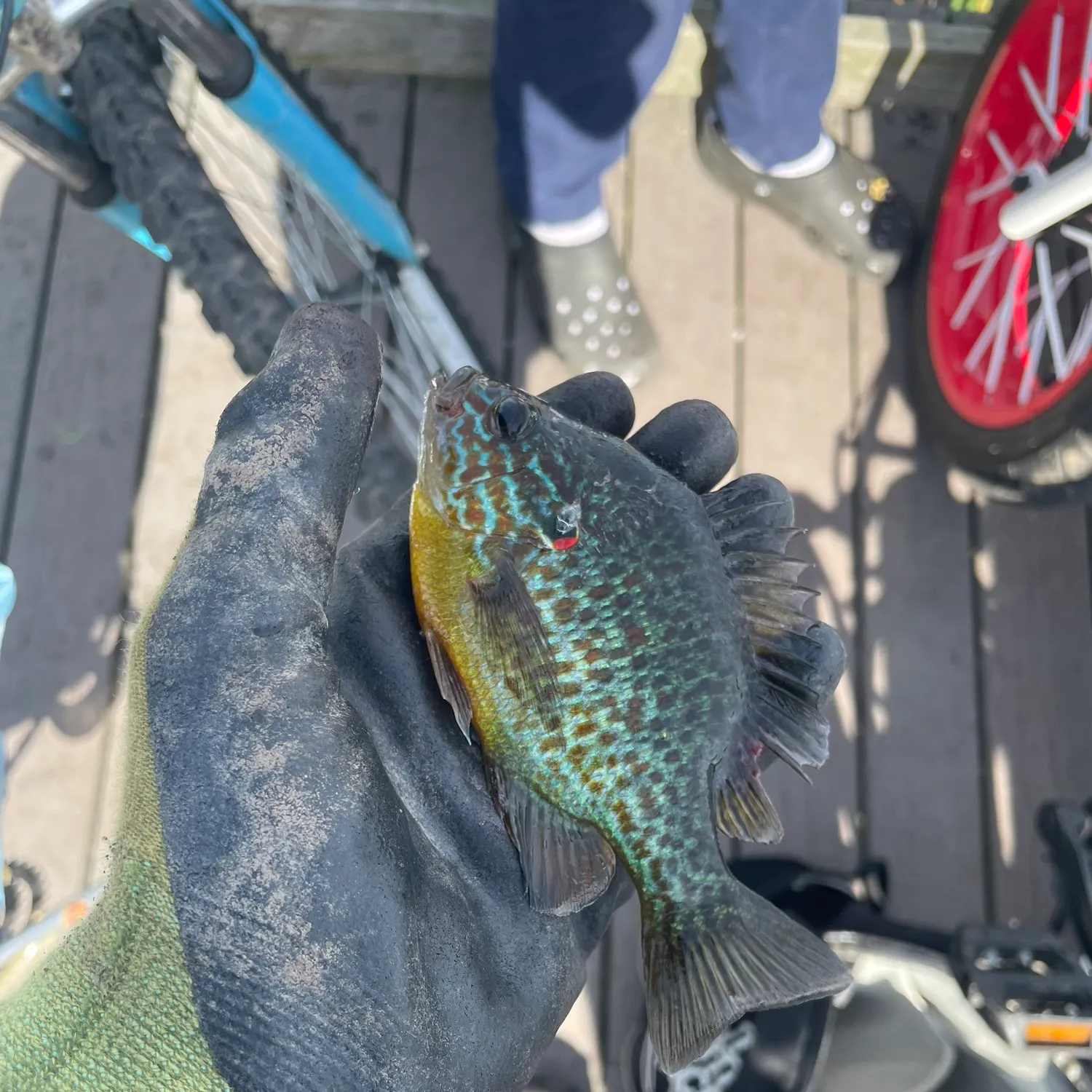catch
