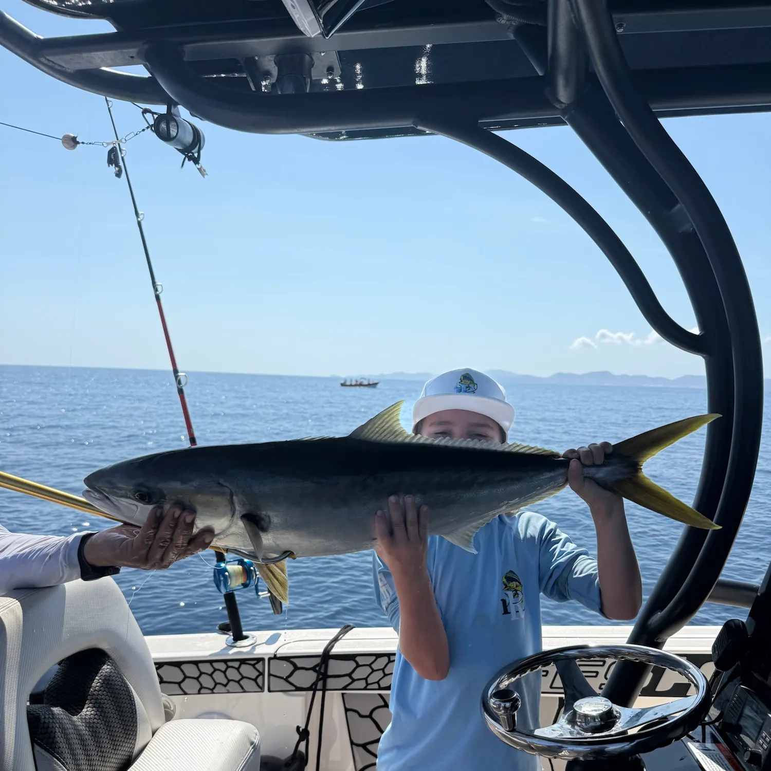 California yellowtail amberjack caught on Fishbrain