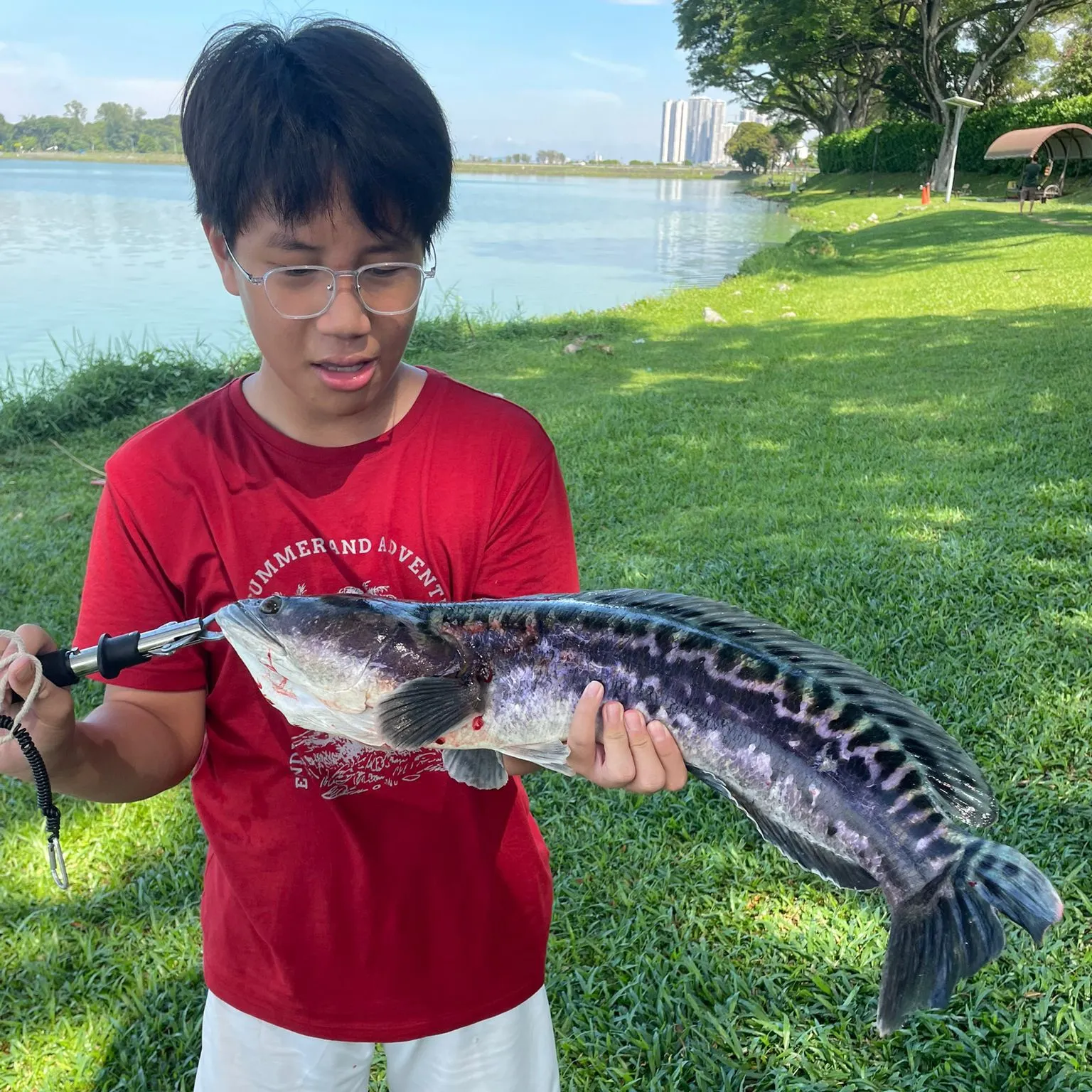 The most recent Indonesian snakehead catches on Fishbrain