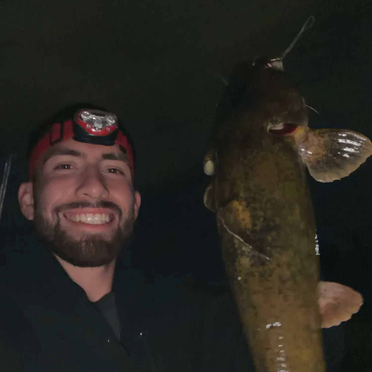 Flathead catfish caught on Fishbrain