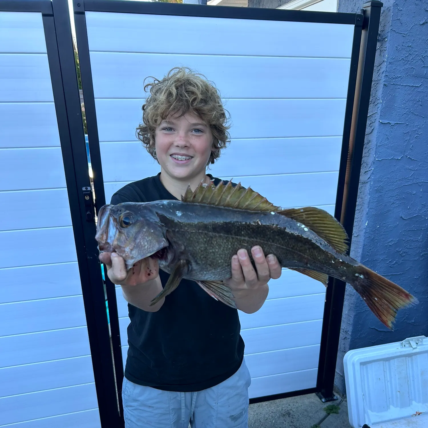 The most recent Giant sea bass catches on Fishbrain