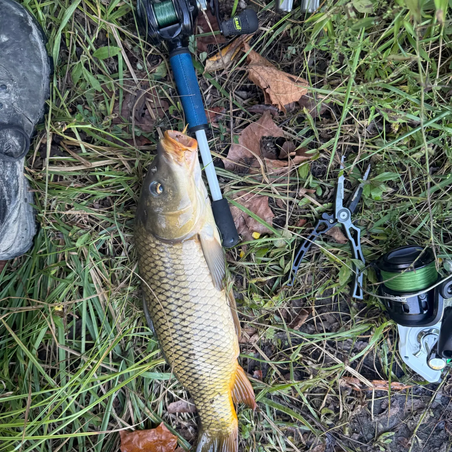 catch