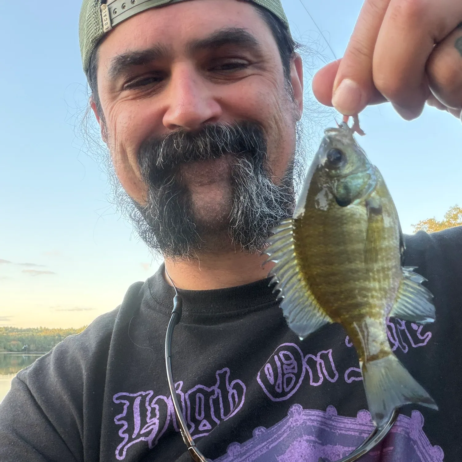 Bluegill caught on Fishbrain