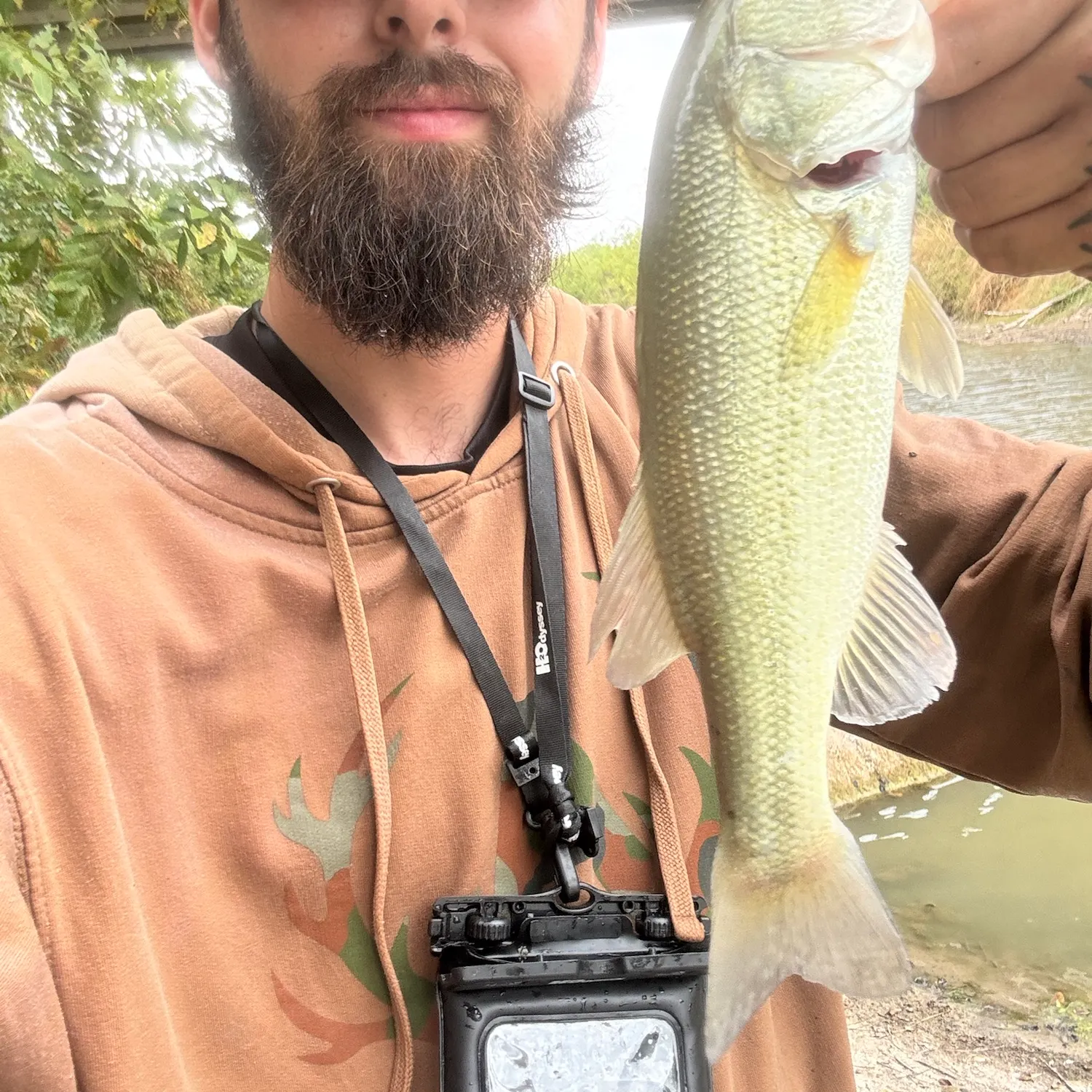 Largemouth bass caught on Fishbrain