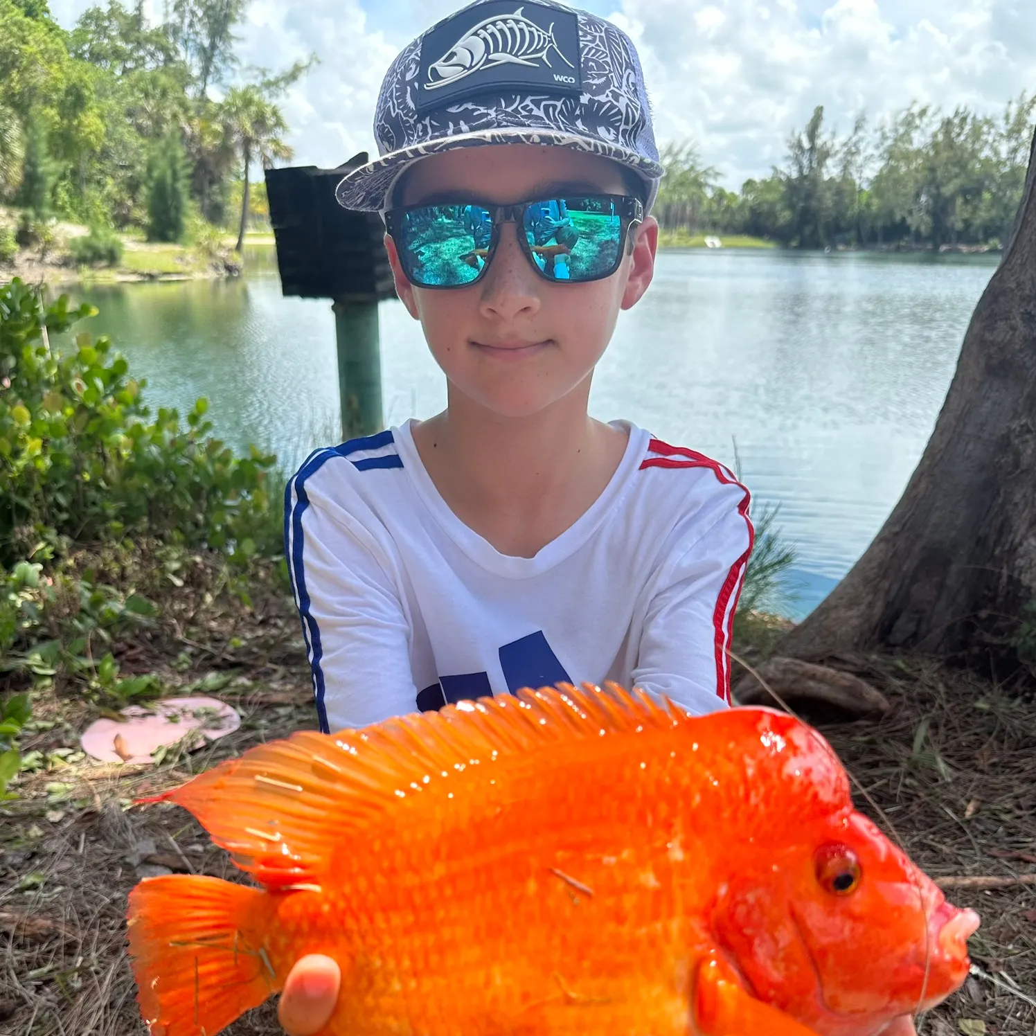 The most recent Midas cichlid catches on Fishbrain