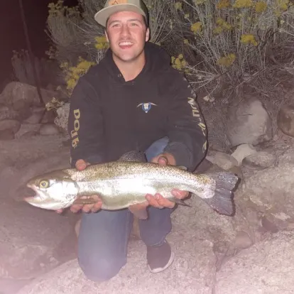 The most recent Sea trout catches on Fishbrain