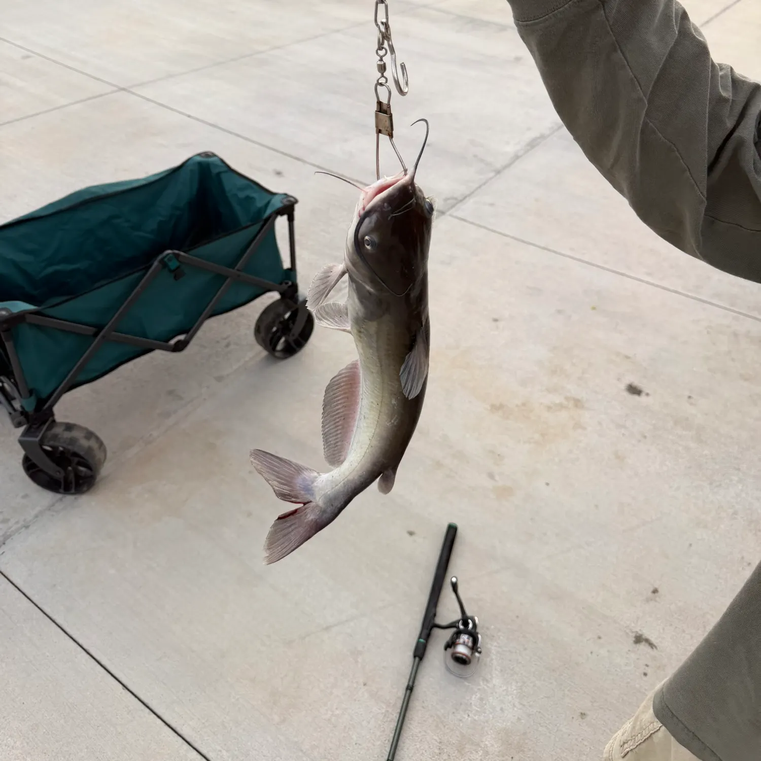 catch