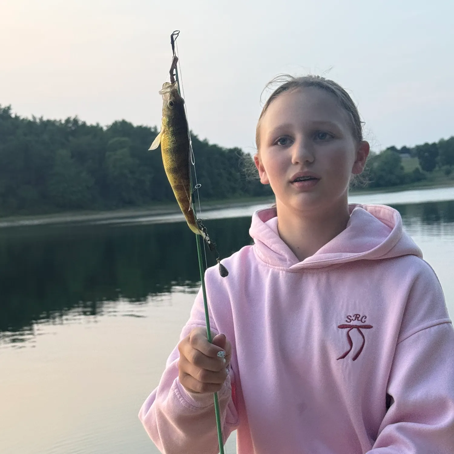 The most recent Grass pickerel catches on Fishbrain