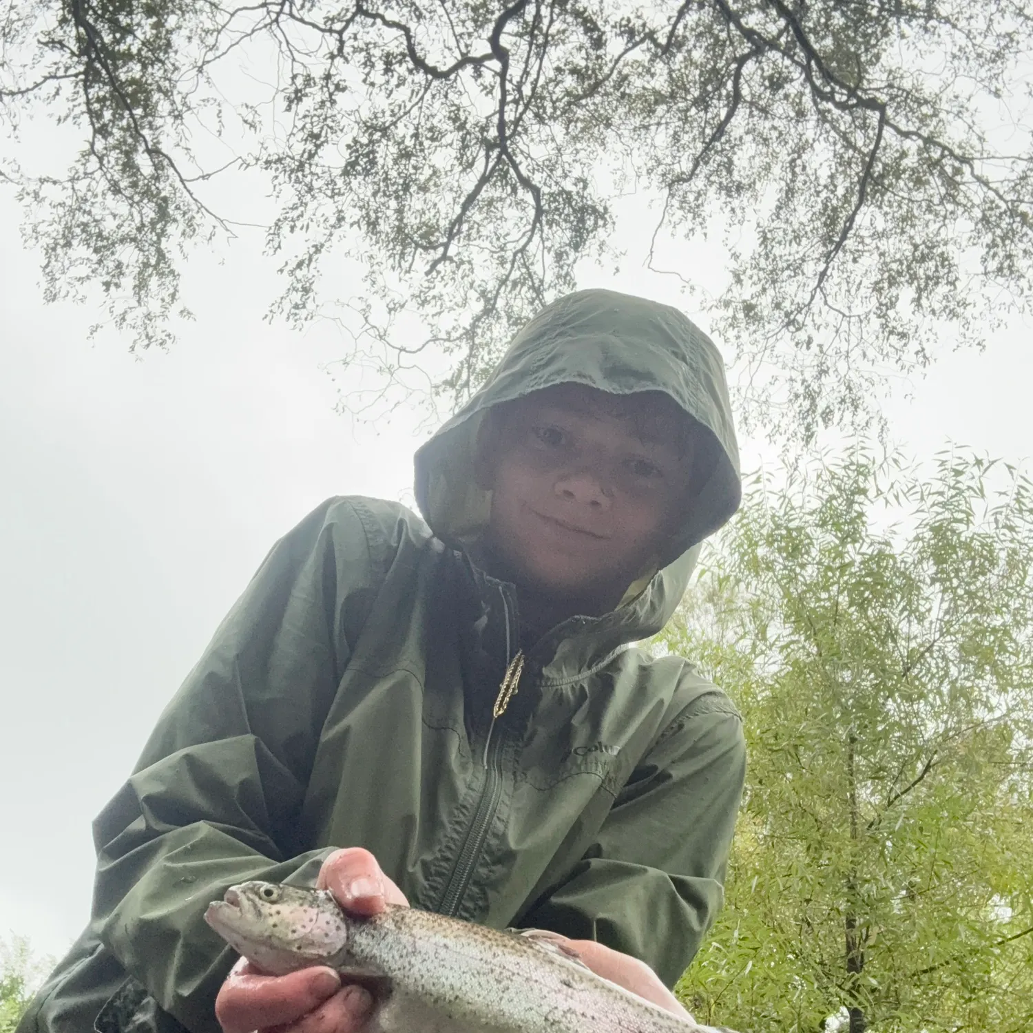 Rainbow trout caught on Fishbrain