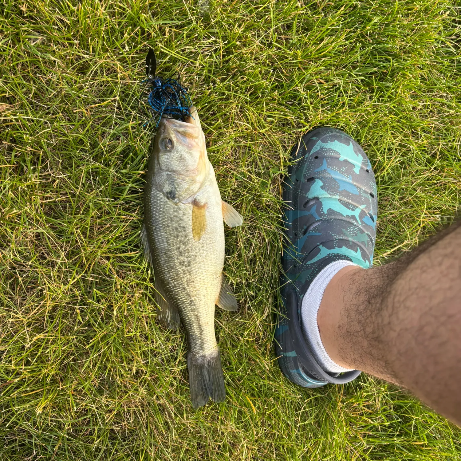 angler catch