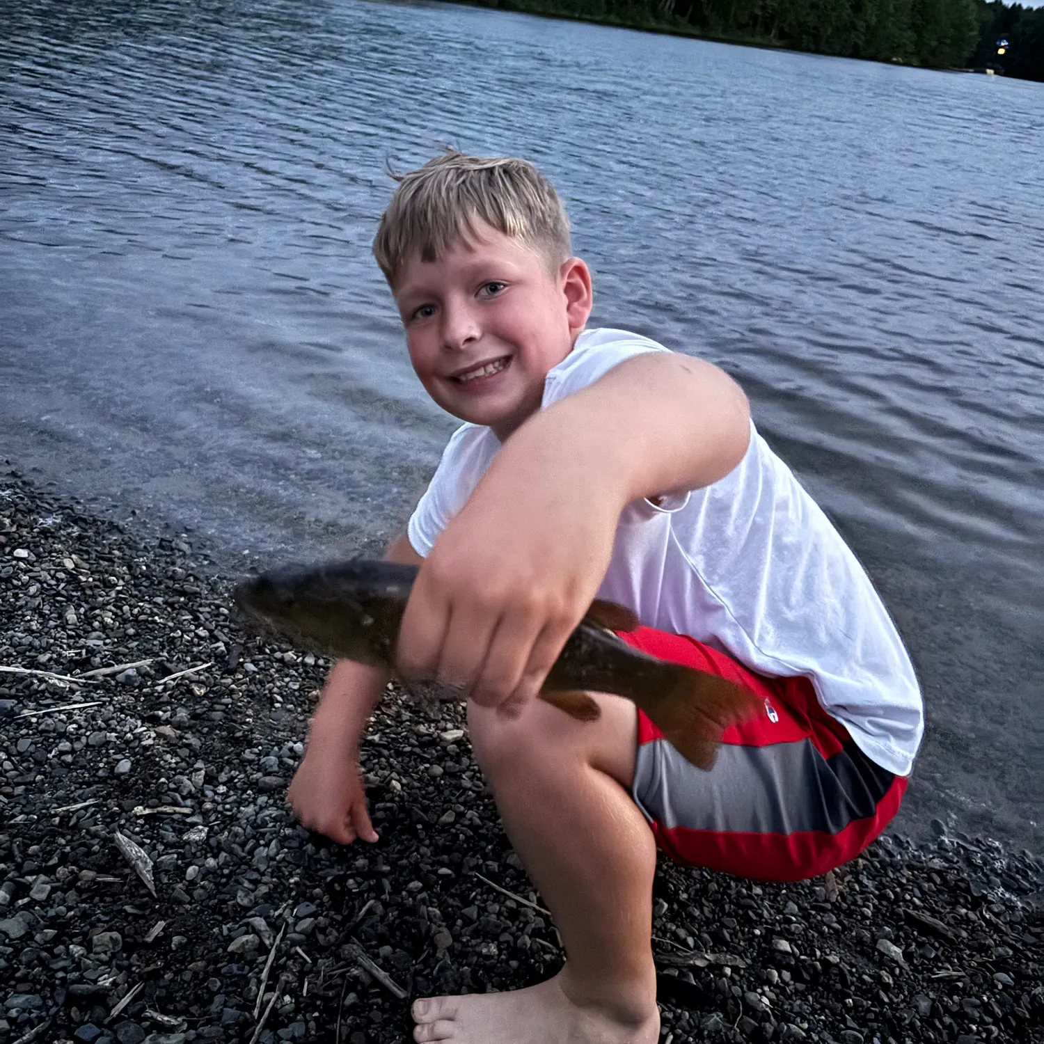 Smallmouth bass caught on Fishbrain