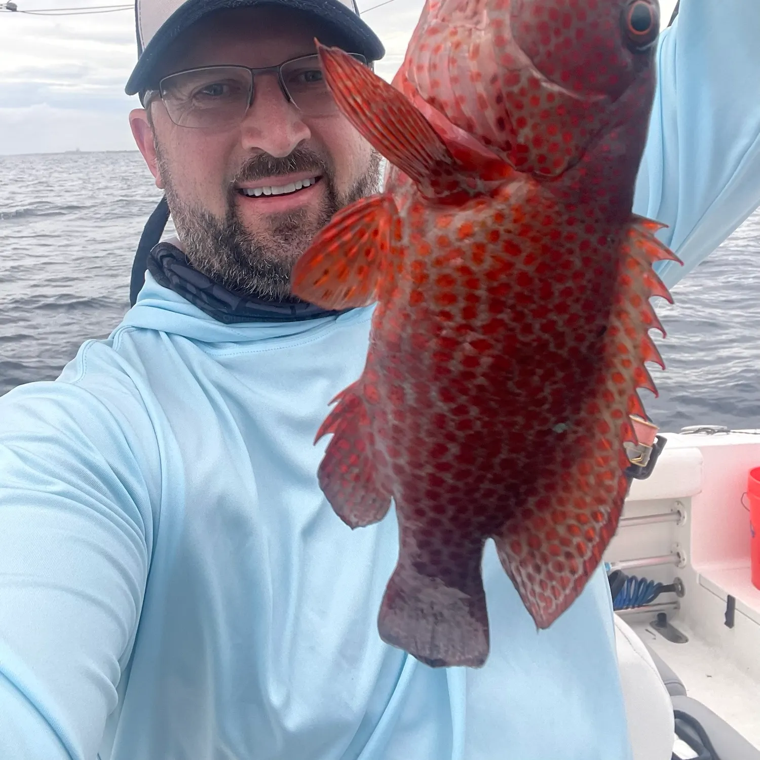 The most recent Red hind grouper catches on Fishbrain