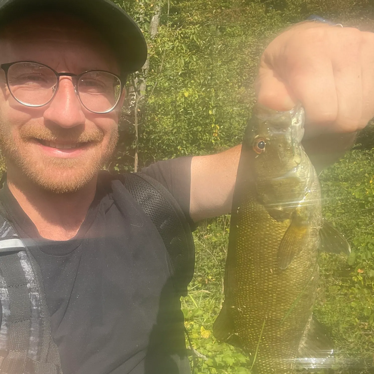 Smallmouth bass caught on Fishbrain