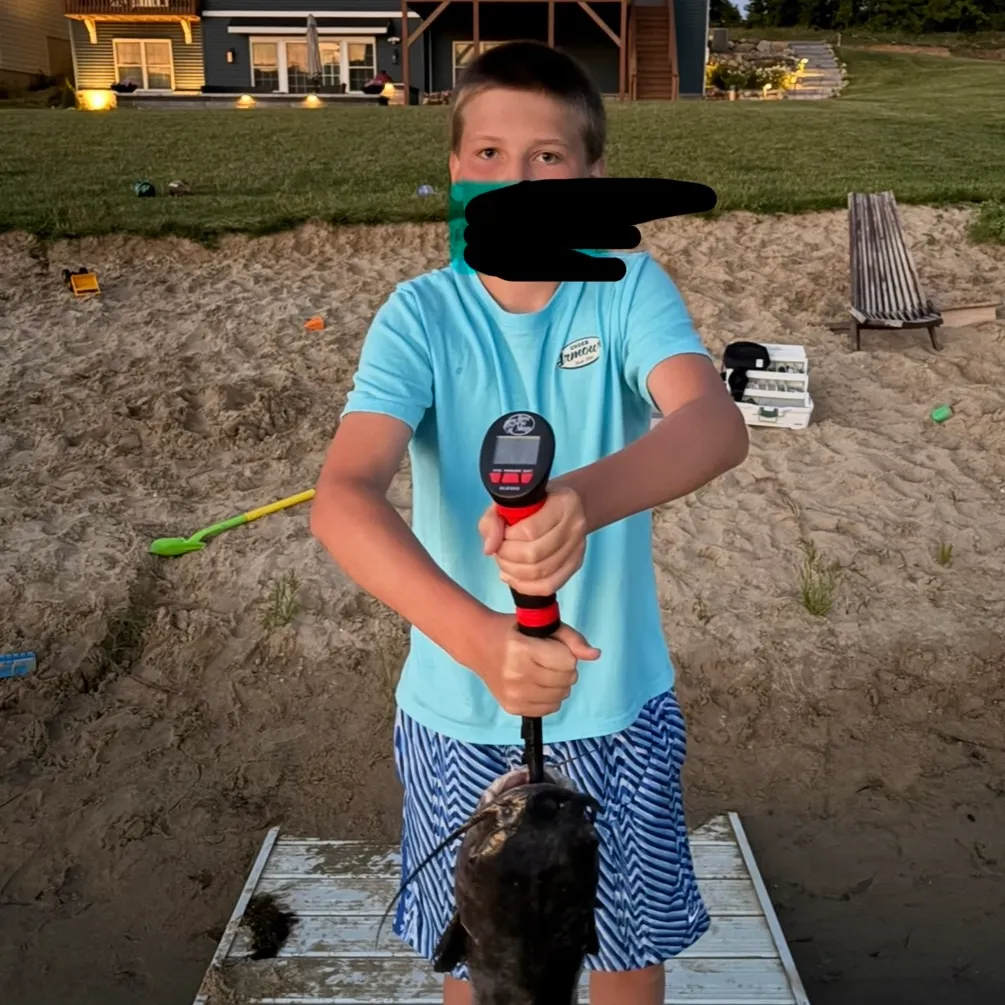 Channel catfish caught on Fishbrain