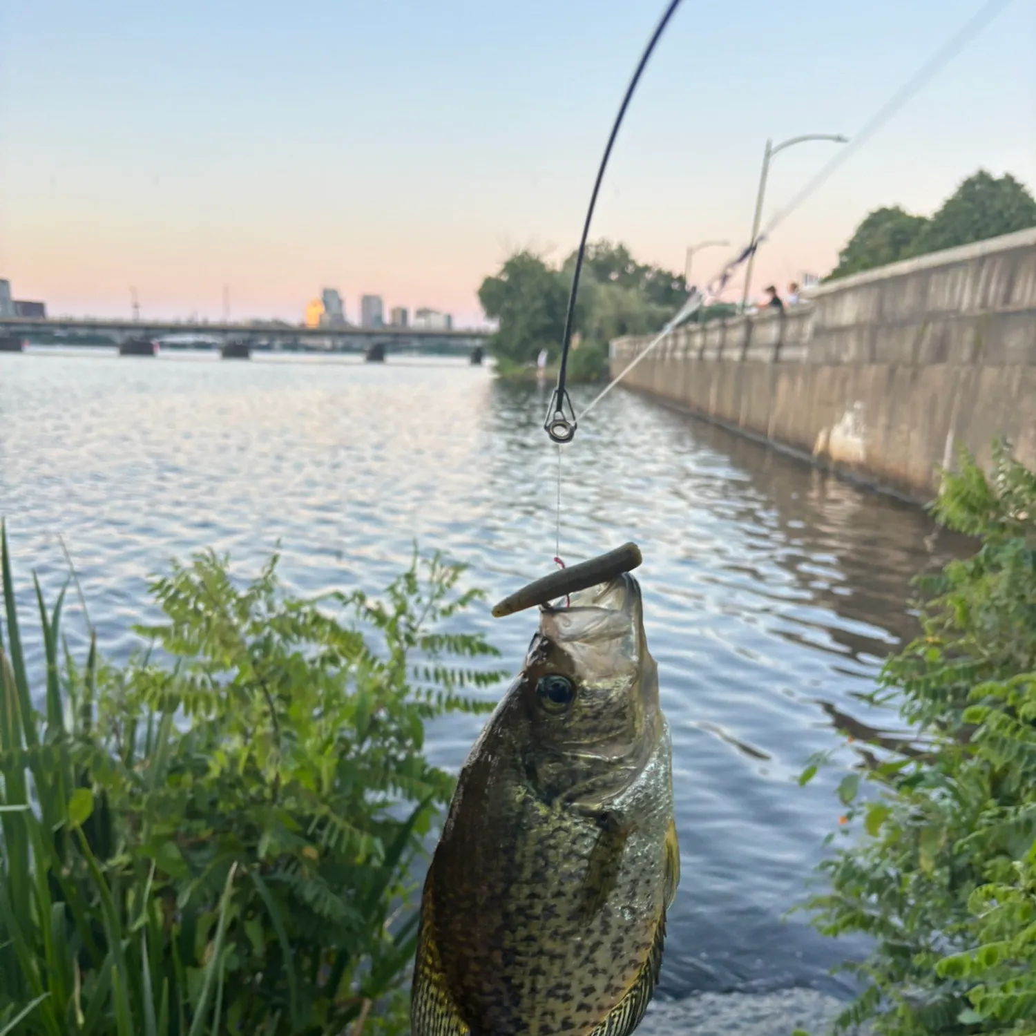 catch