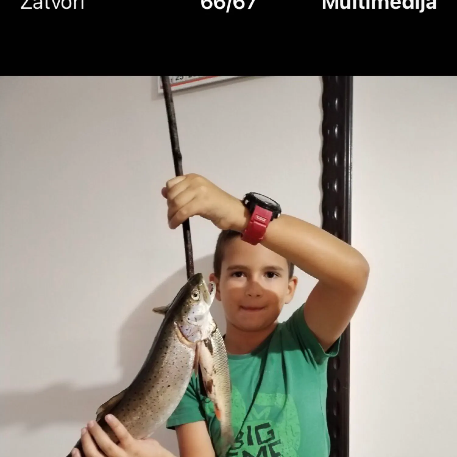 recently logged catches