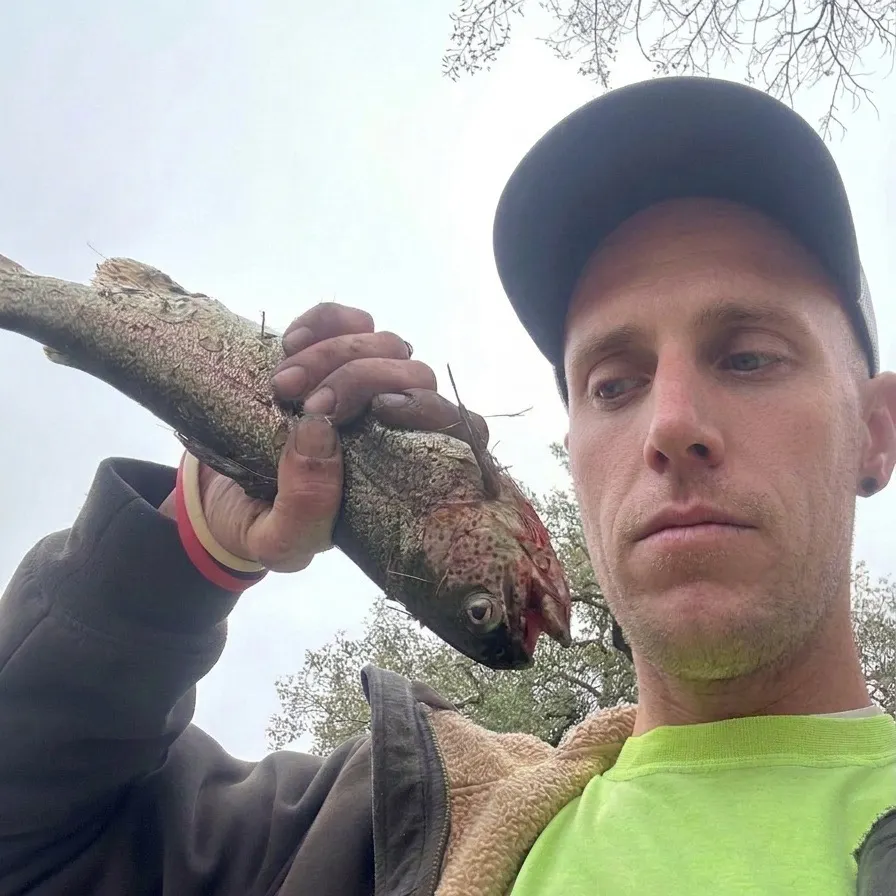Rainbow trout caught on Fishbrain