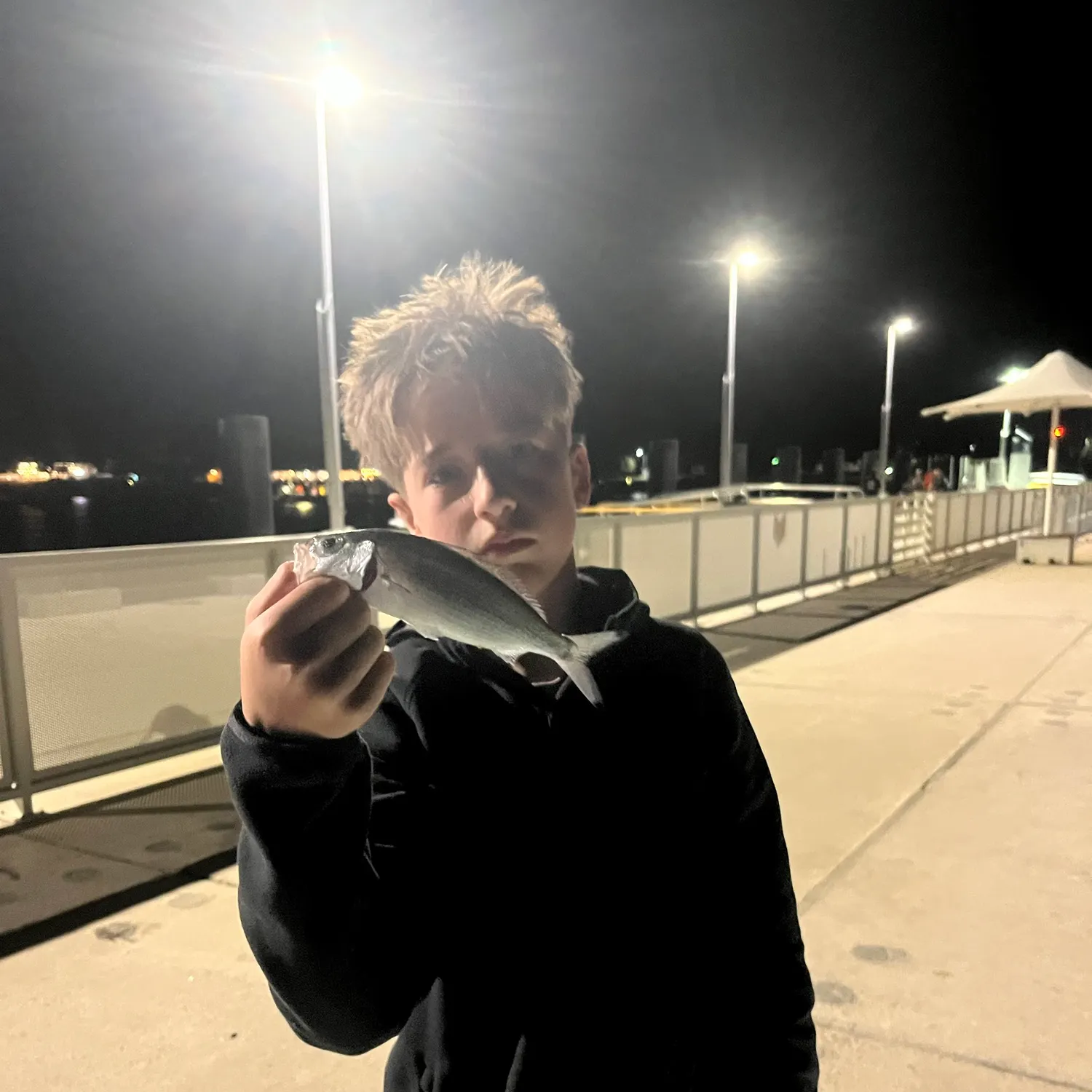 The most recent Australian ruff catches on Fishbrain