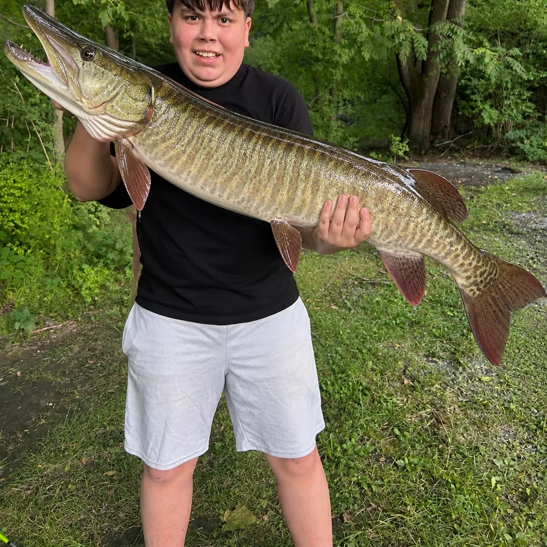Muskie caught on Fishbrain