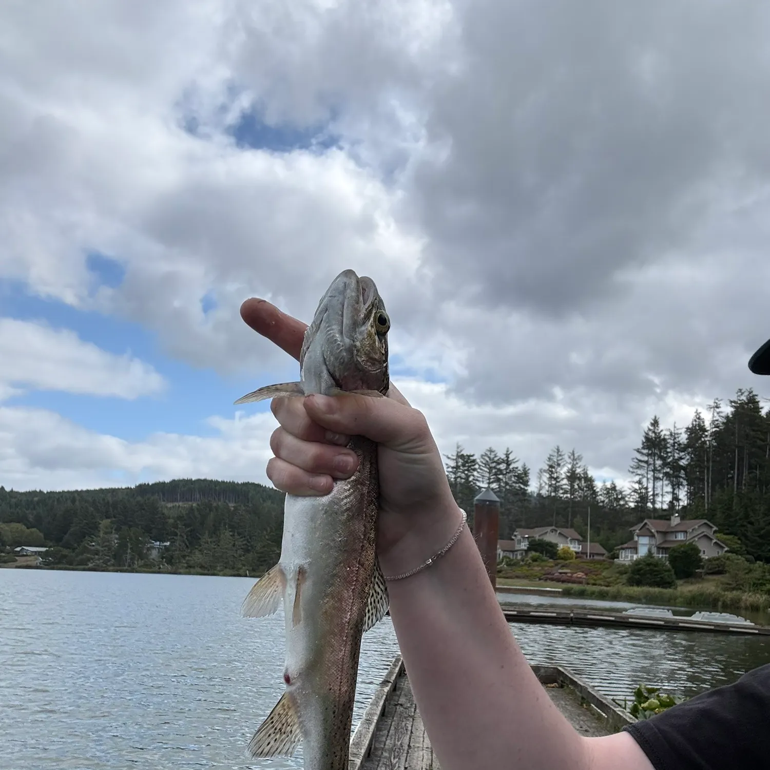 Rainbow trout caught on Fishbrain