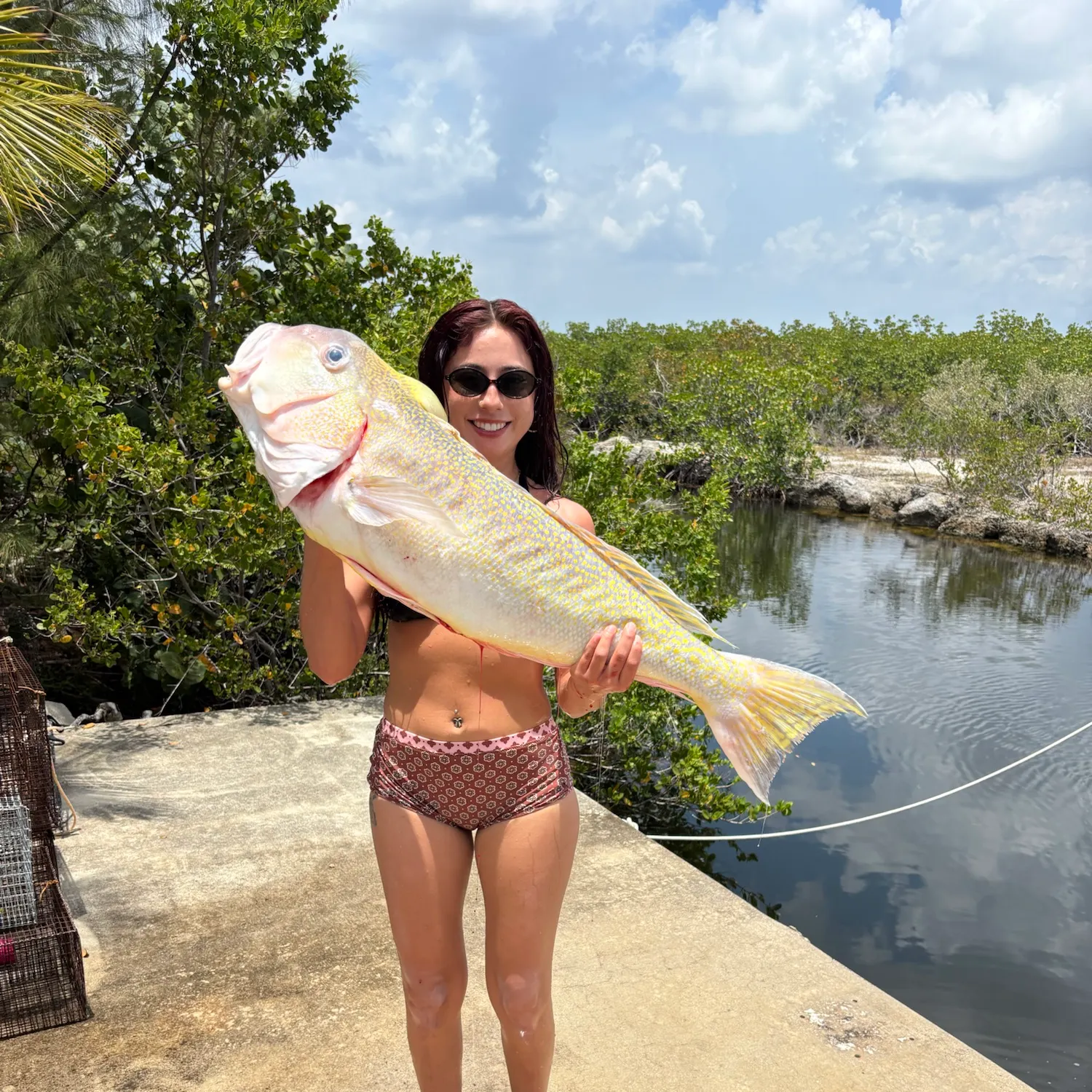 The most recent Great northern tilefish catches on Fishbrain