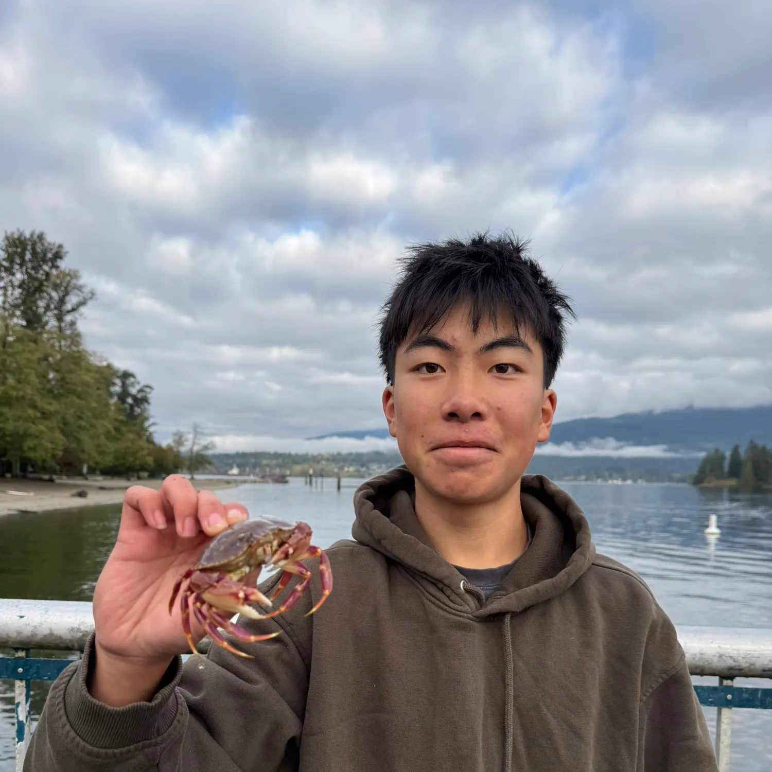 Dungeness crab caught on Fishbrain