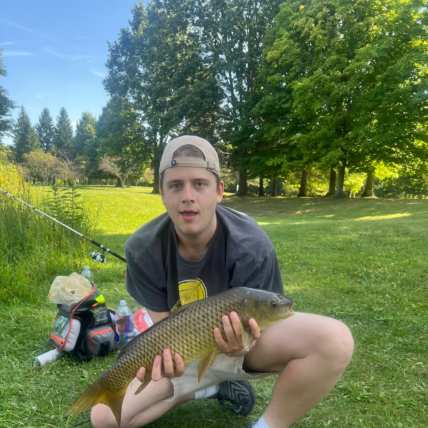 Common carp caught on Fishbrain