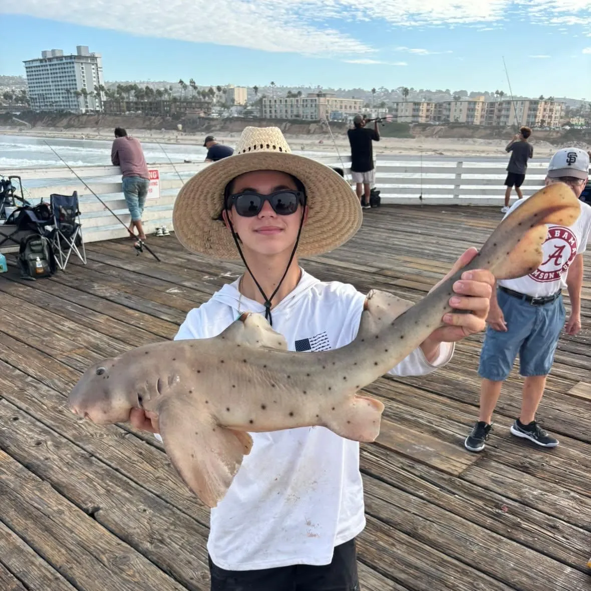 Horn shark caught on Fishbrain