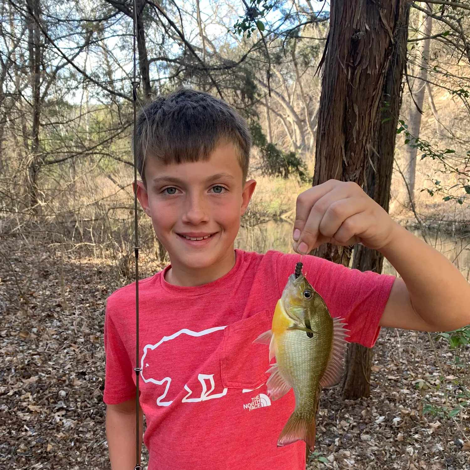 The most recent Green sunfish catches on Fishbrain