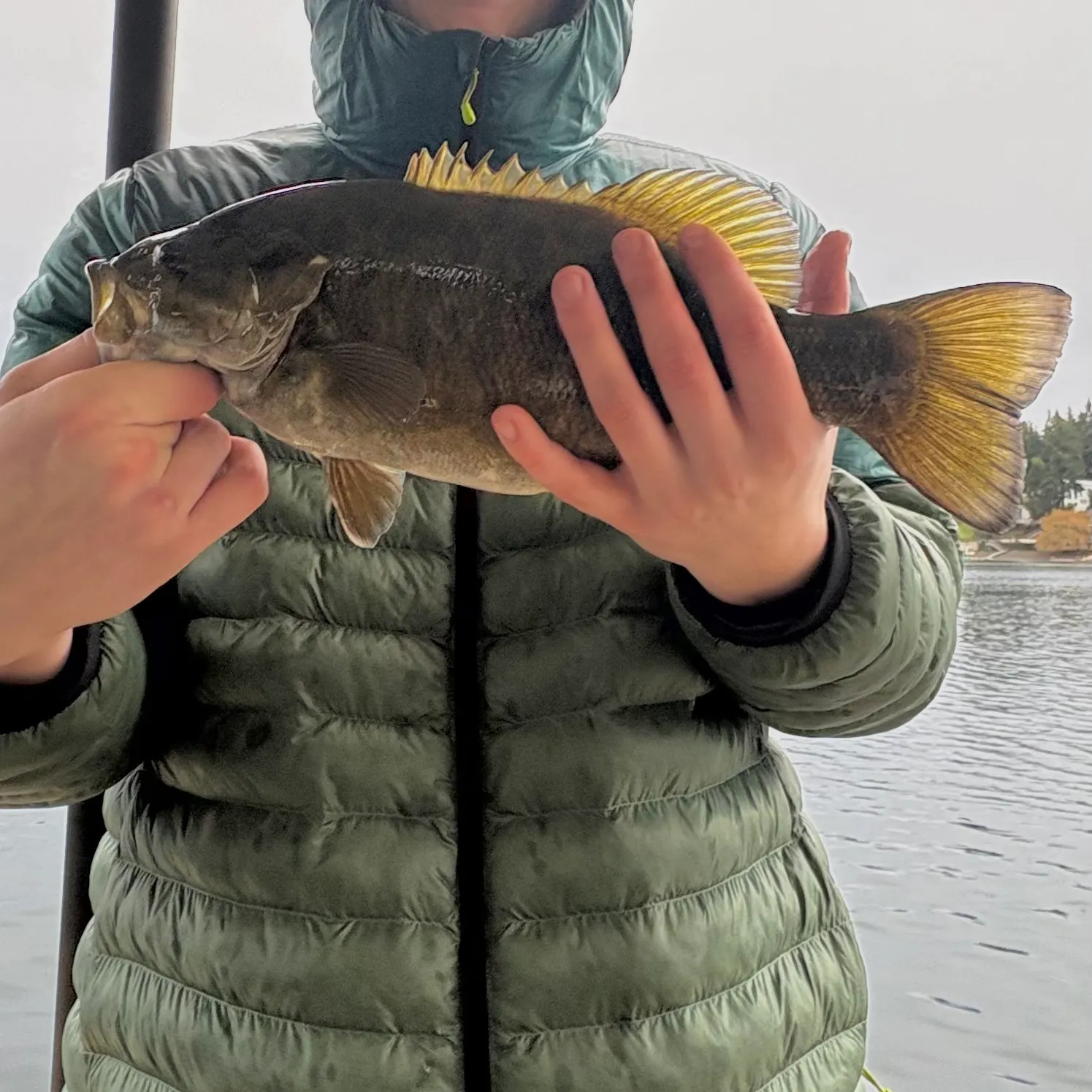The most recent Smallmouth bass catches on Fishbrain