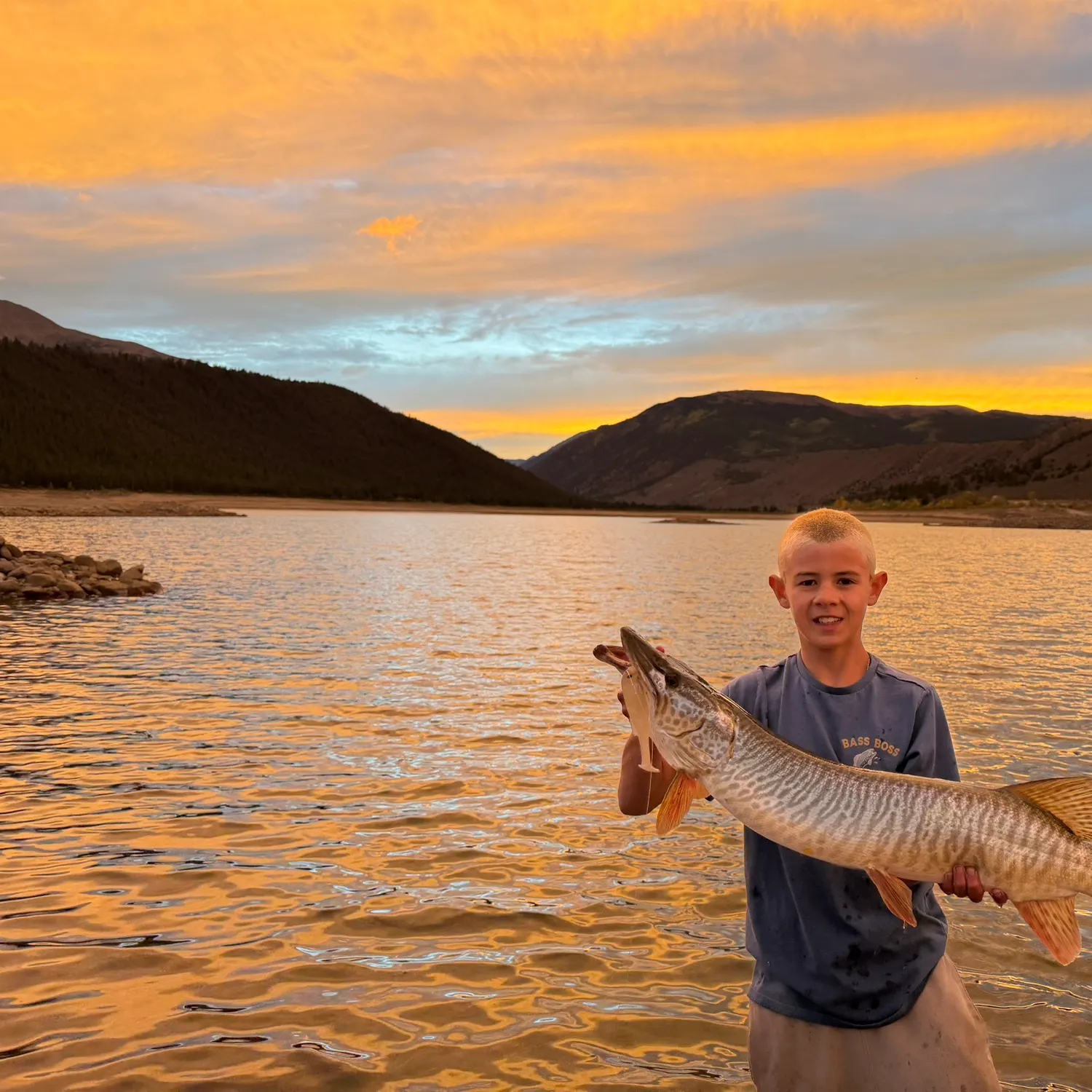 Tiger muskie caught on Fishbrain