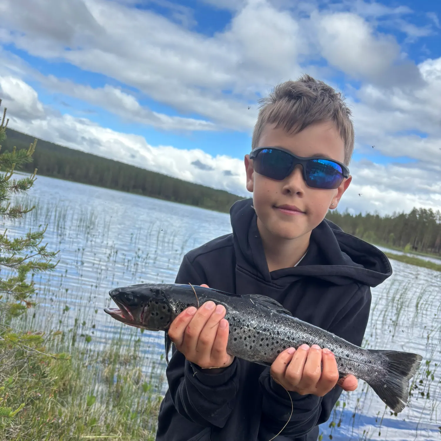 The most recent Lake trout catches on Fishbrain