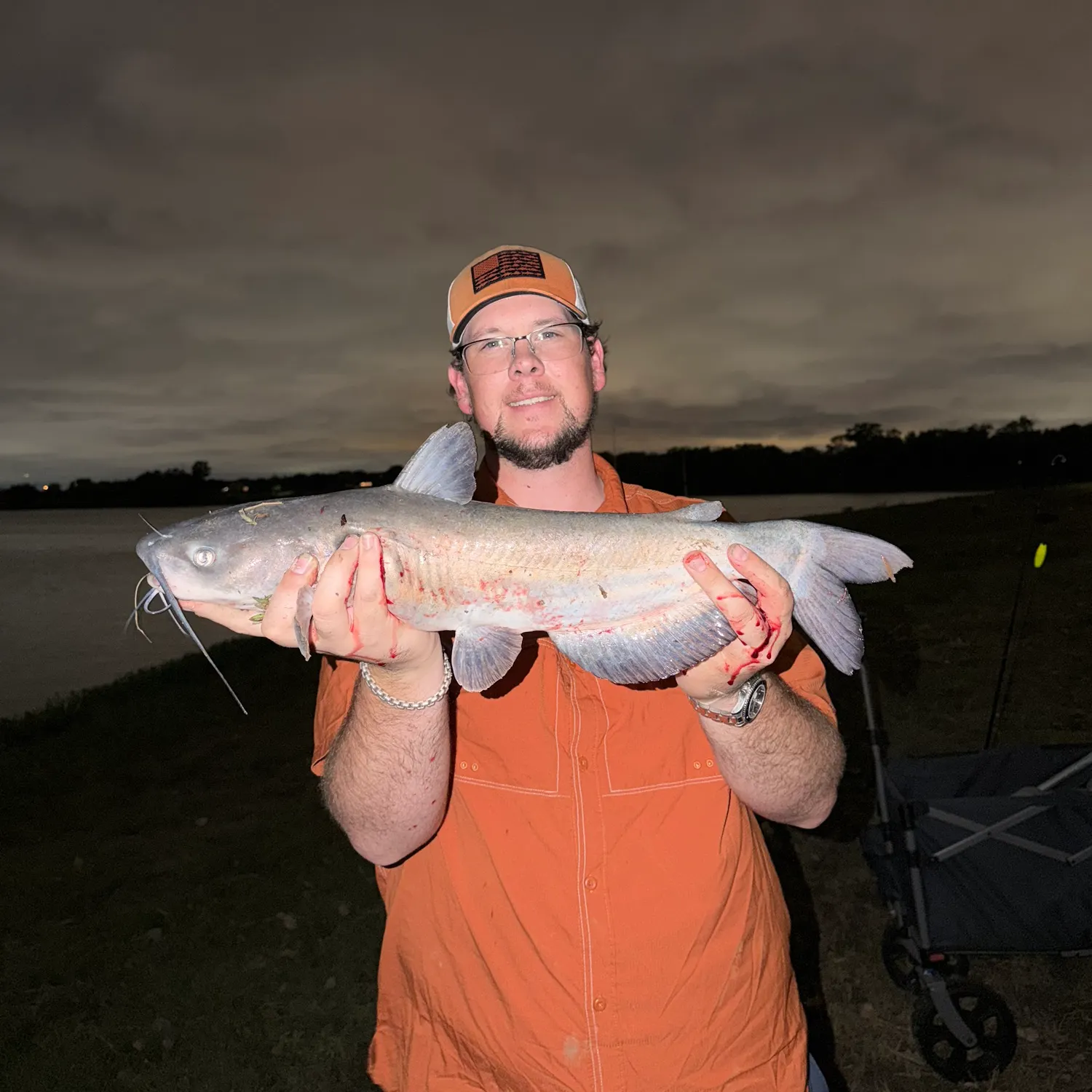 Channel catfish caught on Fishbrain